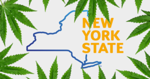 new york cannabis business