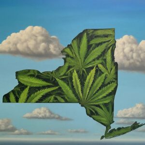 New York Cannabis Lawyer